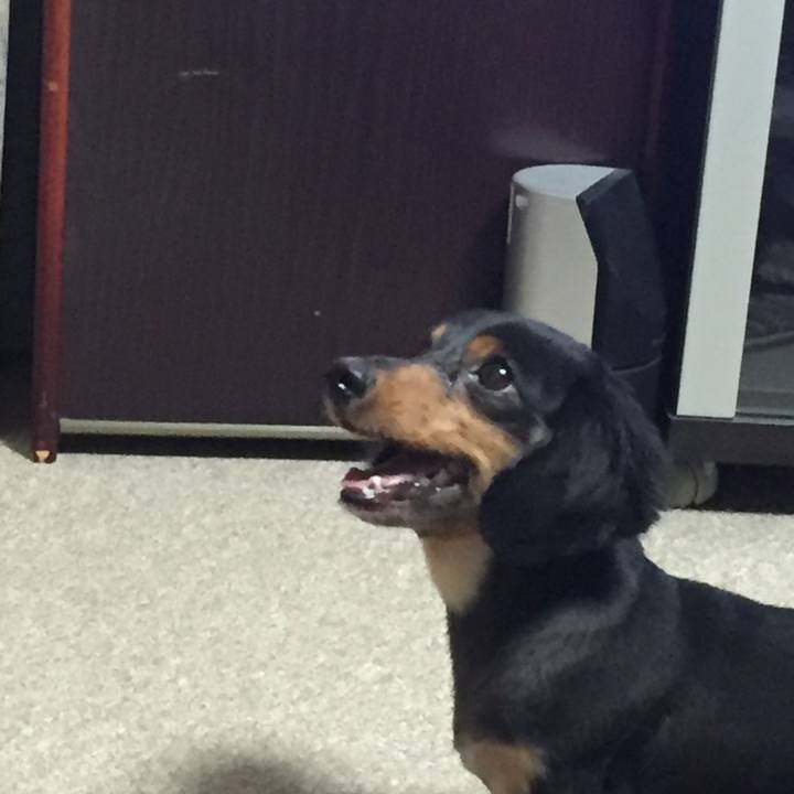 735ea112 29c3 499b adbf 5973572336c8