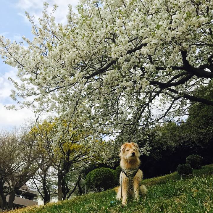 735f09c3 fd00 43b6 9570 fecba4fe613f