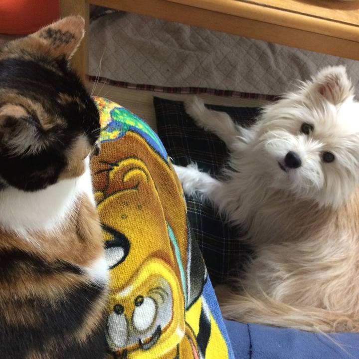 73601d86 3206 4473 9981 f28f78730afe