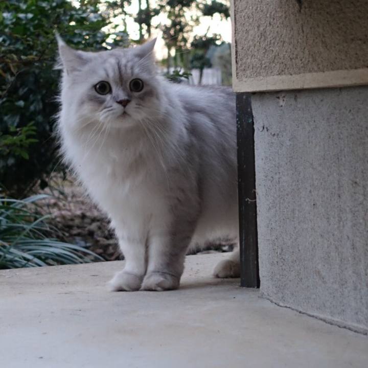 736032cb bcf4 4ea8 9c5c 5dd1f7c86af6