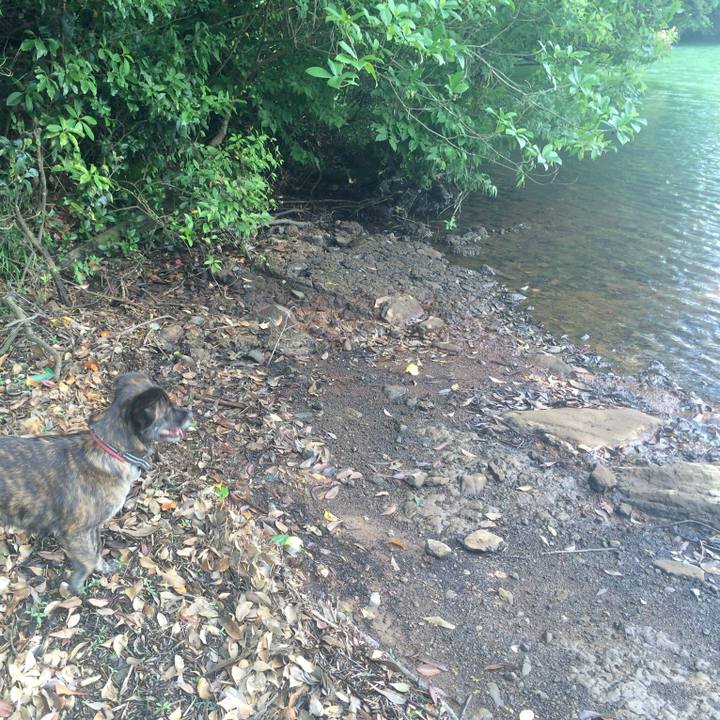 7360ada7 65d9 49f2 b626 2ab3c4b0d573