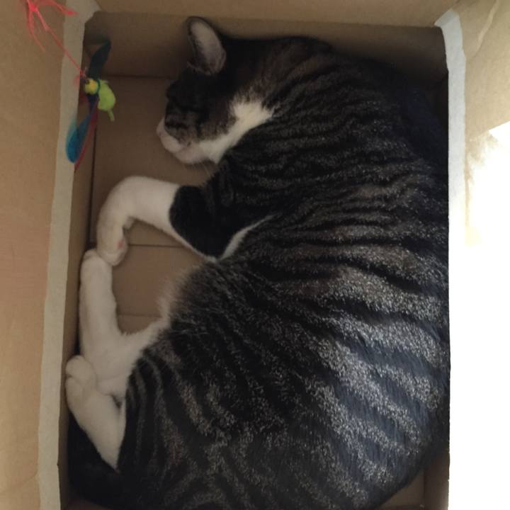 7360c467 c455 4f76 972f e7b9dcaadd77