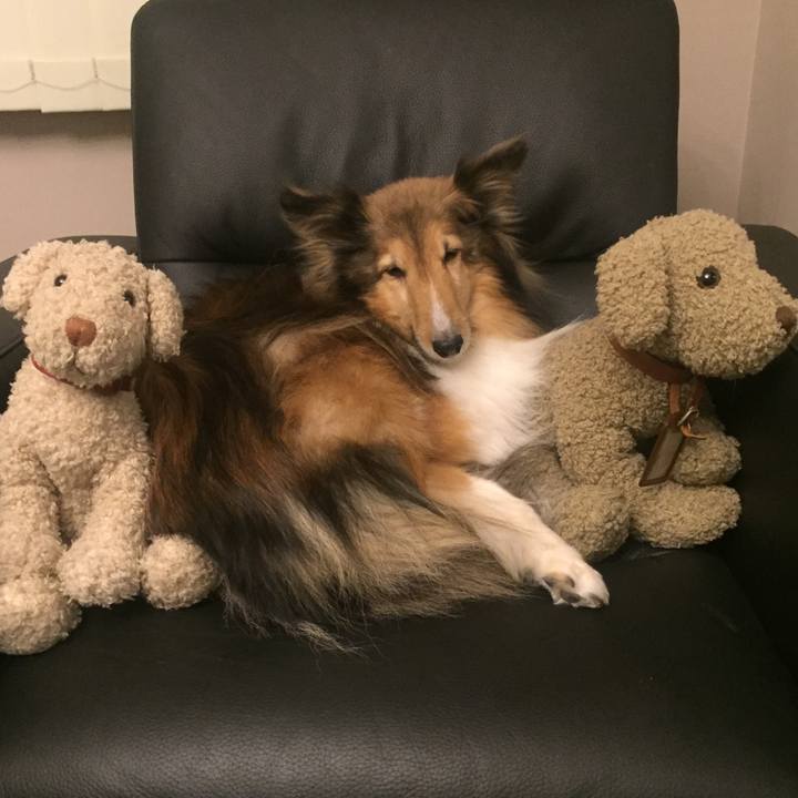 73615302 52ac 4203 84d8 804a9a4d01b3