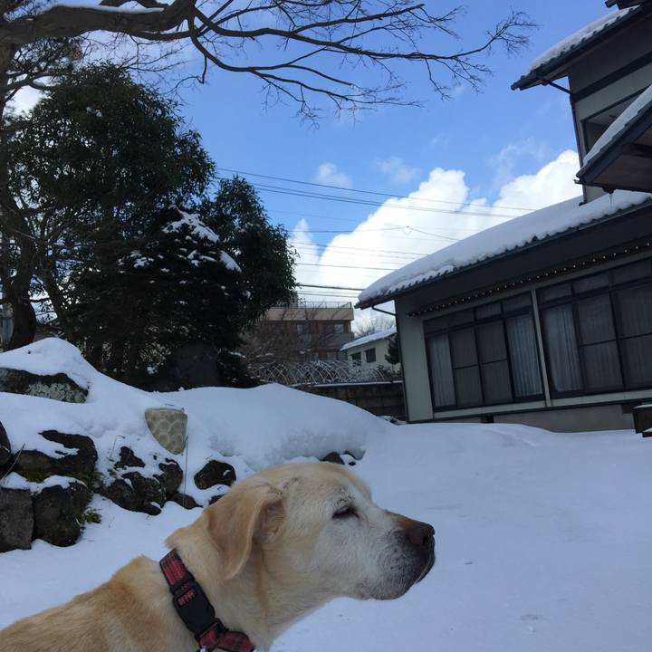 7361b9a0 a018 4020 82f6 4bd5c73f2c86