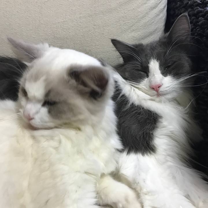 73622de5 a820 48a6 b60e a77072196c29