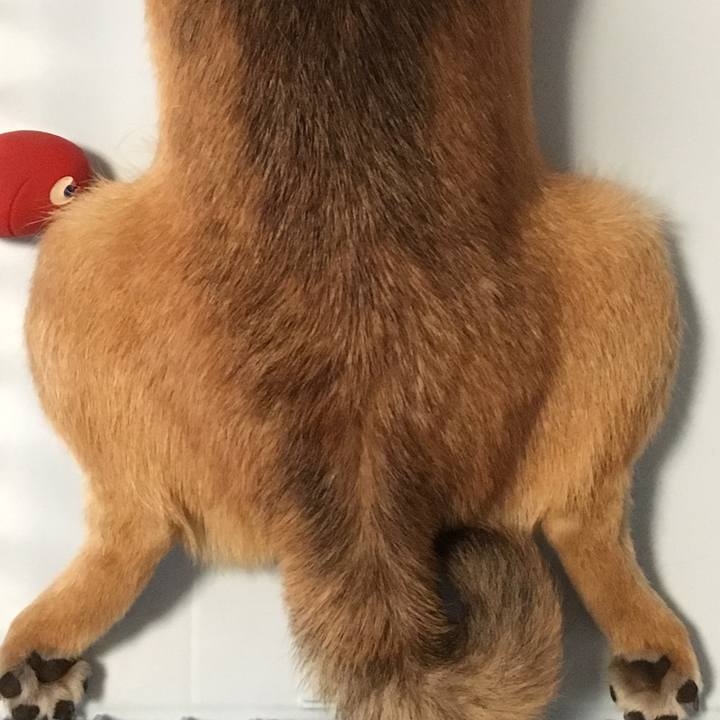 73624430 f5ce 4dbc 9e4f d62ebd8beb62