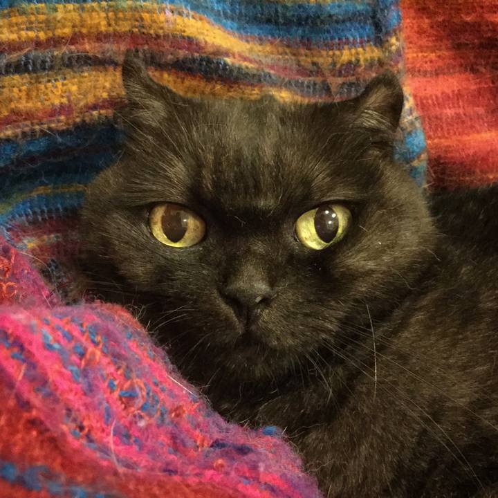 73644267 779c 4c10 a521 9a0999bb8d20