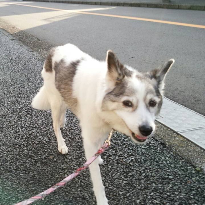 73644fd9 96f1 4968 a4ab 40d6d69b406f