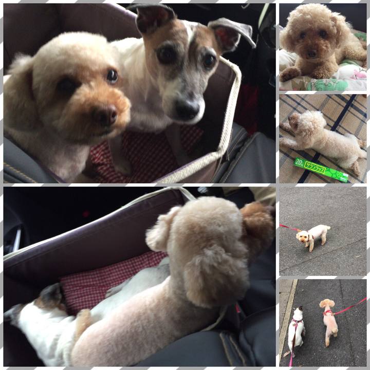 73646229 afc9 429b b5d4 91e195df5e3b