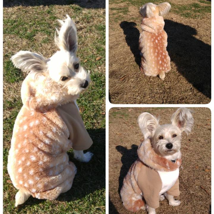 73646327 ae25 4577 b7a5 5cb5c2470a3a