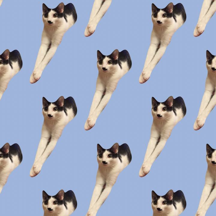 73647b92 26b5 4eff 9fc0 b0aab4e484f1