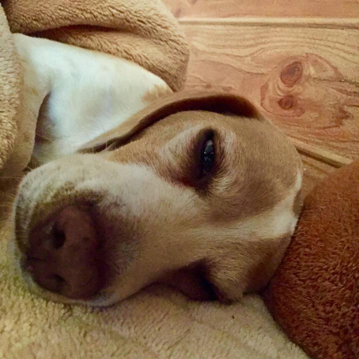 73657154 b1b4 424d b197 774d669acc07