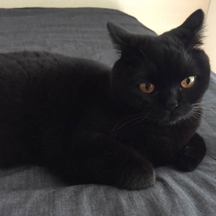 736583a0 090c 4fa4 b40f eee16917ec31