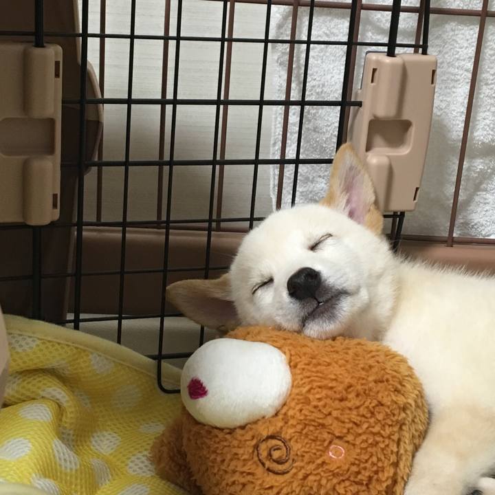 7365c3dd f587 4607 ba70 2e7bfe3012a9