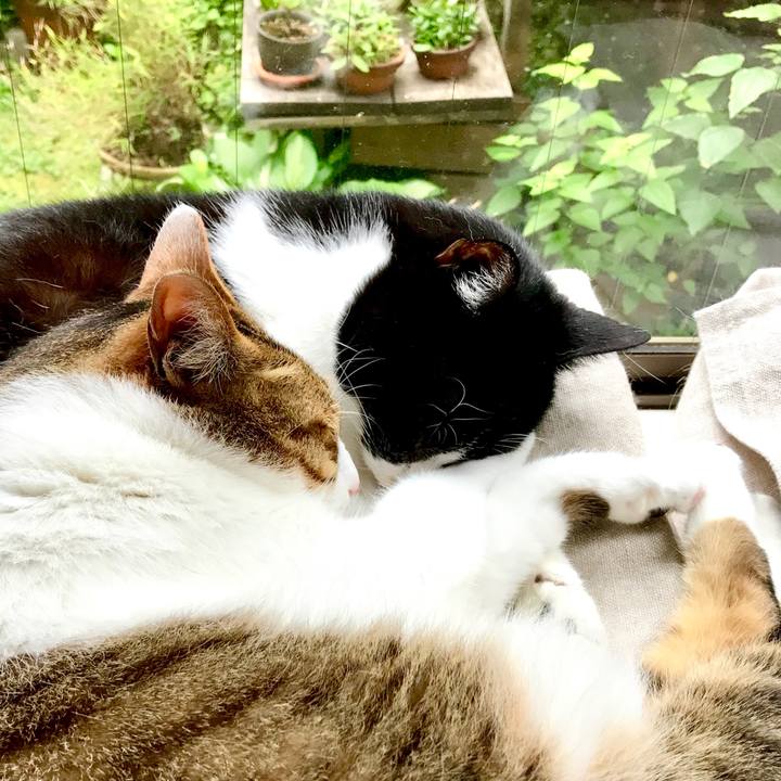 7365e8e4 e688 44f6 80ee 4eb8ad391c1f