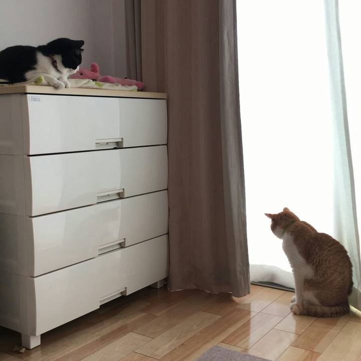 73660bb8 6a00 48f6 a670 a6c5deb4fac6