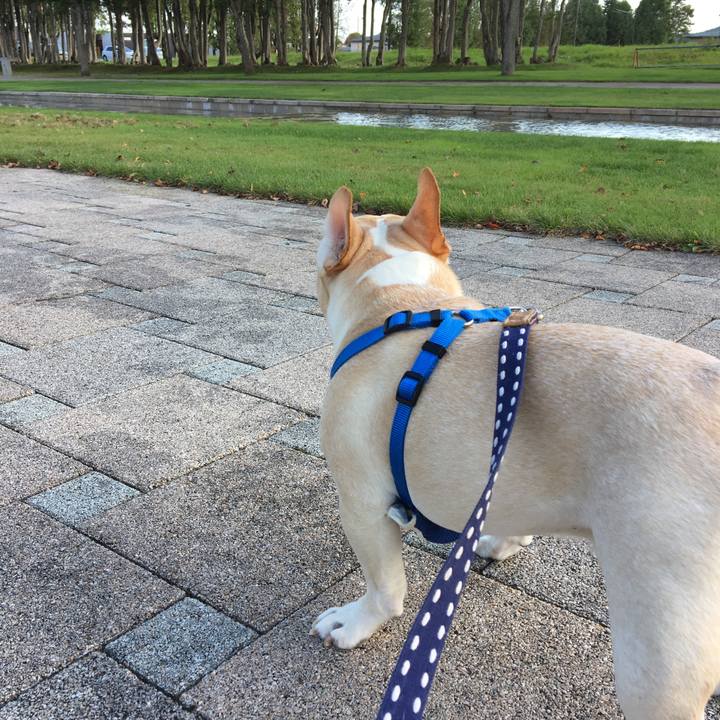 73664286 28a9 4399 9b8e f227136382c8