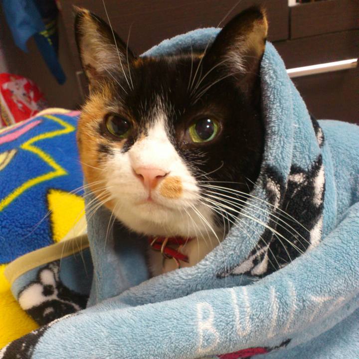 7366c540 c6de 4ef6 9606 ac10c31e097e