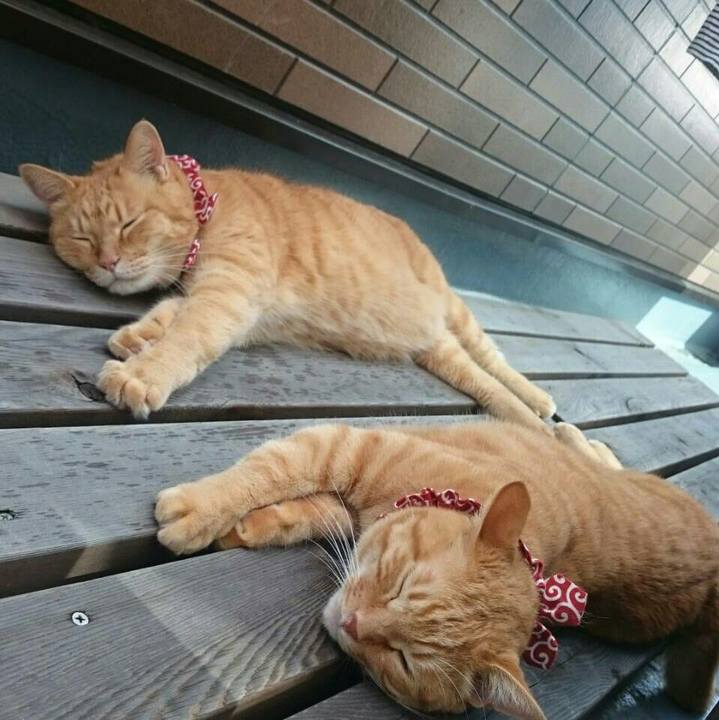 7367d542 6f88 44e0 bd27 7882eb93c39b