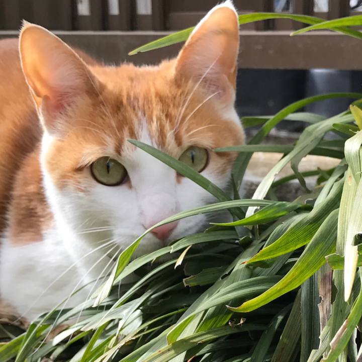 7367f0c9 3566 42c0 898d c142e4bc5d41