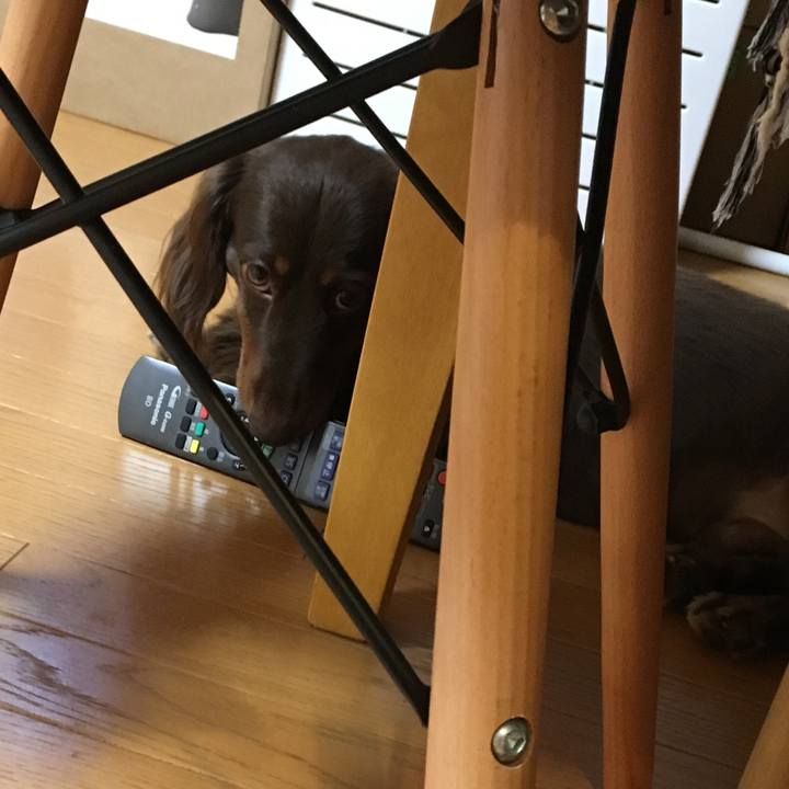 7368b810 7a31 40b0 8844 bfcc6e7b93af