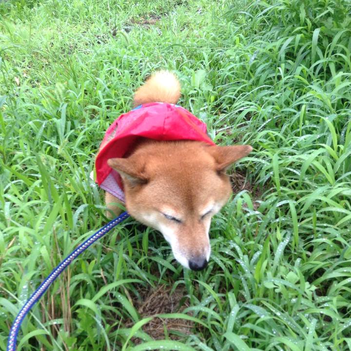 7369ab8f e4ec 4737 a41b a2637fc465ff