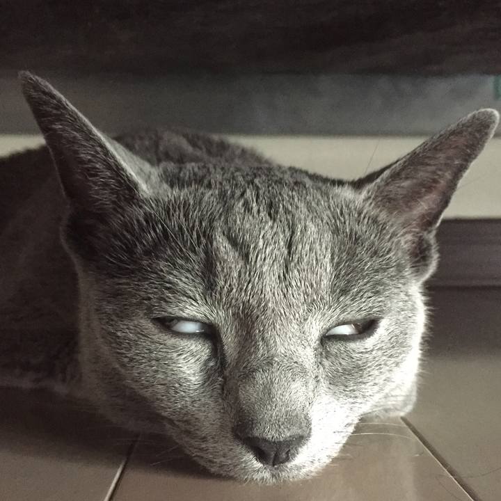 736a42cf 50f6 479c 8fb2 75b8673d9c70