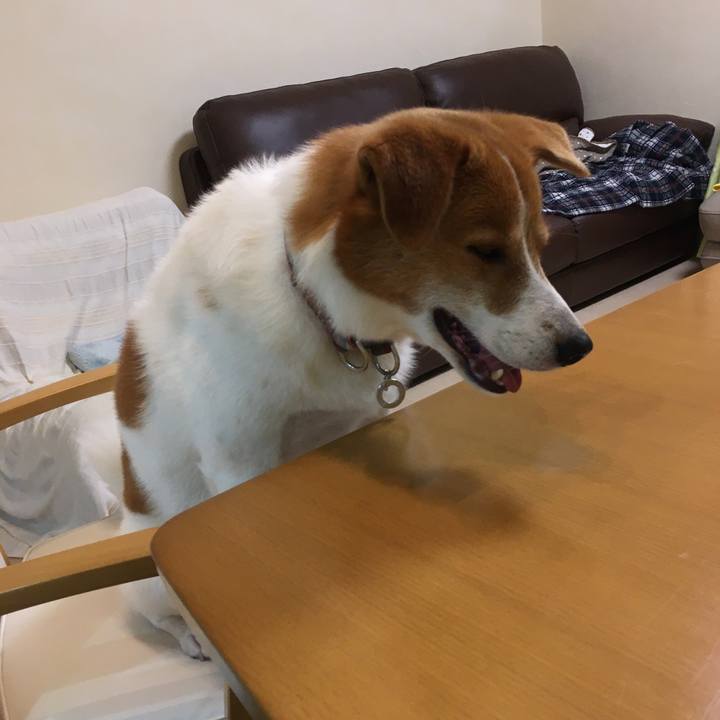 736a78e7 3bf2 4730 9291 2f91010bccfb