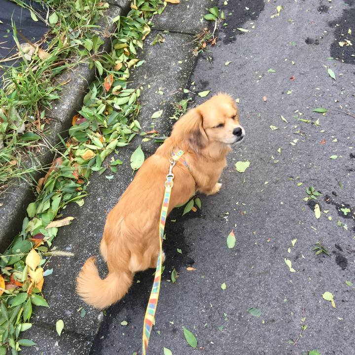 736a843a a394 49df aa07 e6ba82c833a3