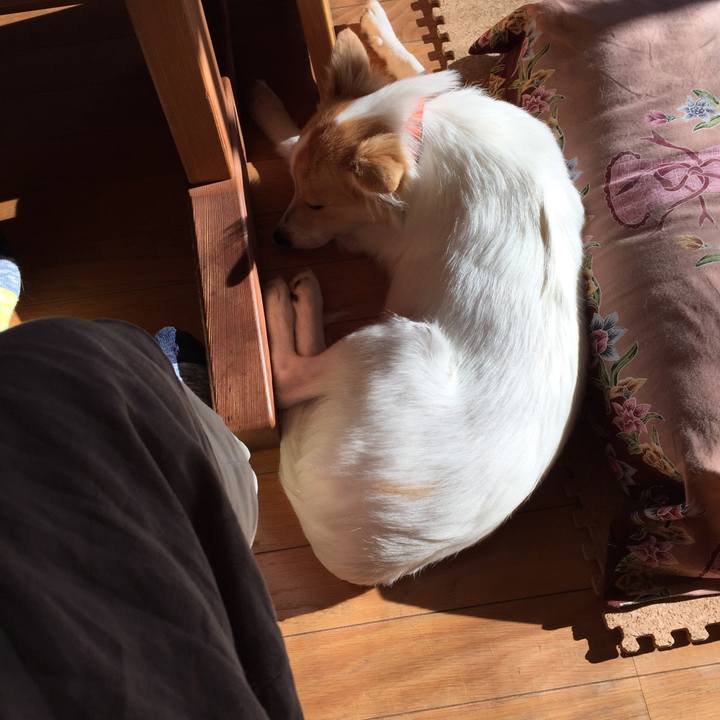 736b0225 db26 45a2 a748 cf5fbee026db