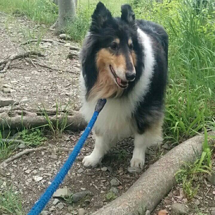 736b4368 a158 481e b4d3 63f4bb58457c