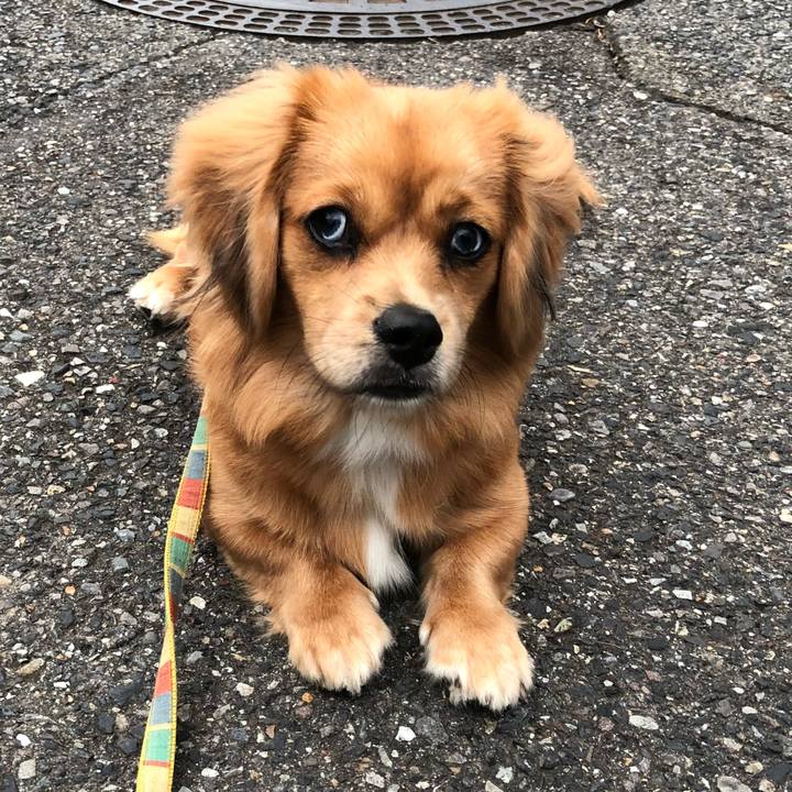 736b94ef e63a 41d7 a881 11639f77ff7f