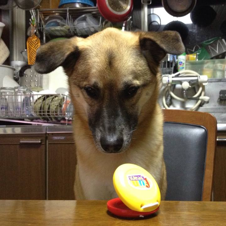 736bada8 833d 4cfe 9a5c 98c84a2d4ca3