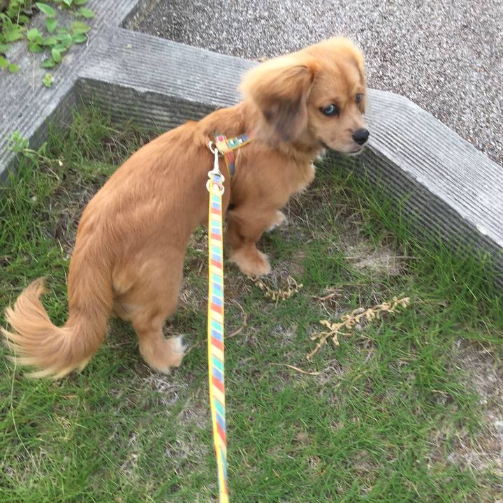 736be4ea f073 4d0f bbe4 031635667f6b