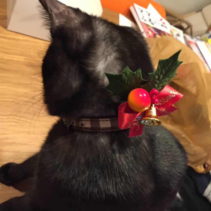 736c59dd 63b6 48ab 80fd 3f04610951db