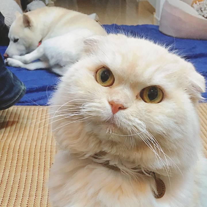 736e36de e9e7 4615 a7e6 eb30add7dd2e