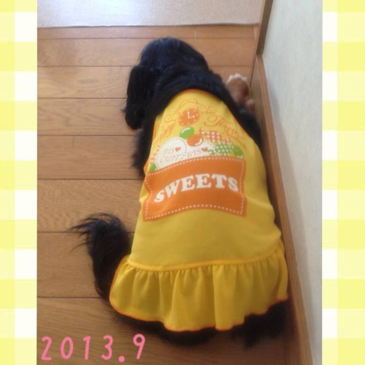 736e9c95 e05f 4e05 9eef 24bd256d6a3b