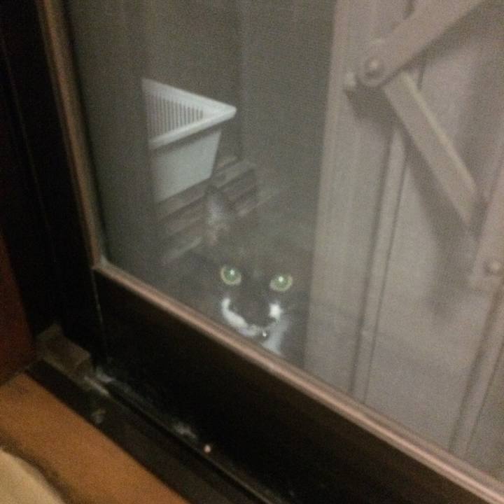 736ea065 3e93 48f7 935c 92239bc8a208