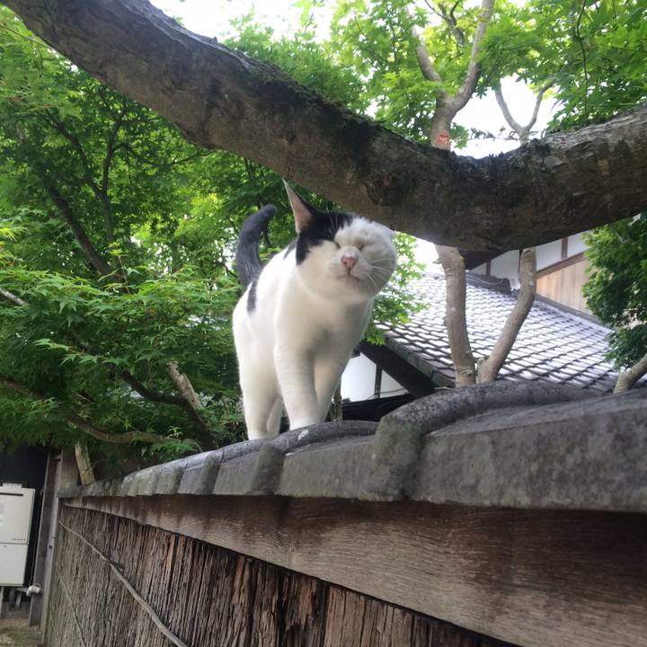 736eb672 e27d 4313 b2c6 4fd2813d3f56