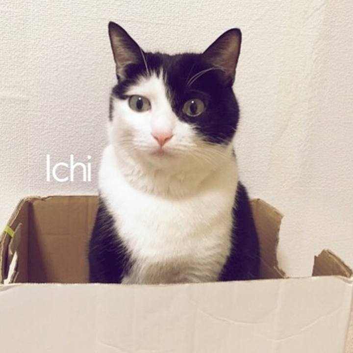 736eb973 680b 4c8f 9e8b 35b69b764fa3