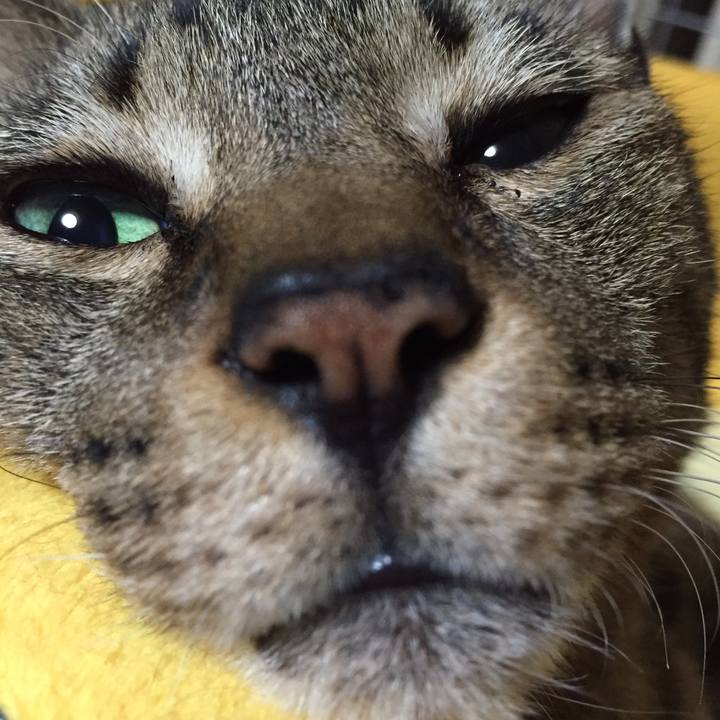 736ef4cb 3012 4e09 beb1 494414518453