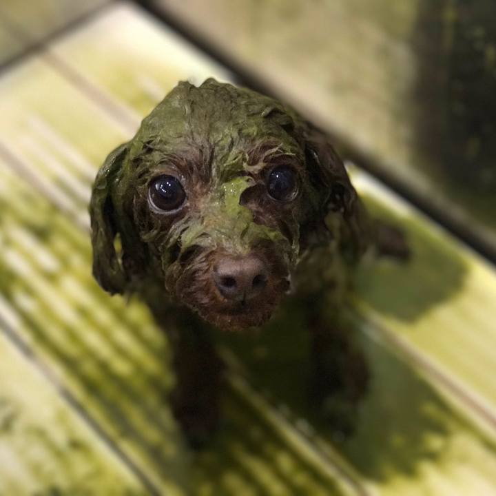 736f8da9 5d07 44d2 a9a8 853ba9229442