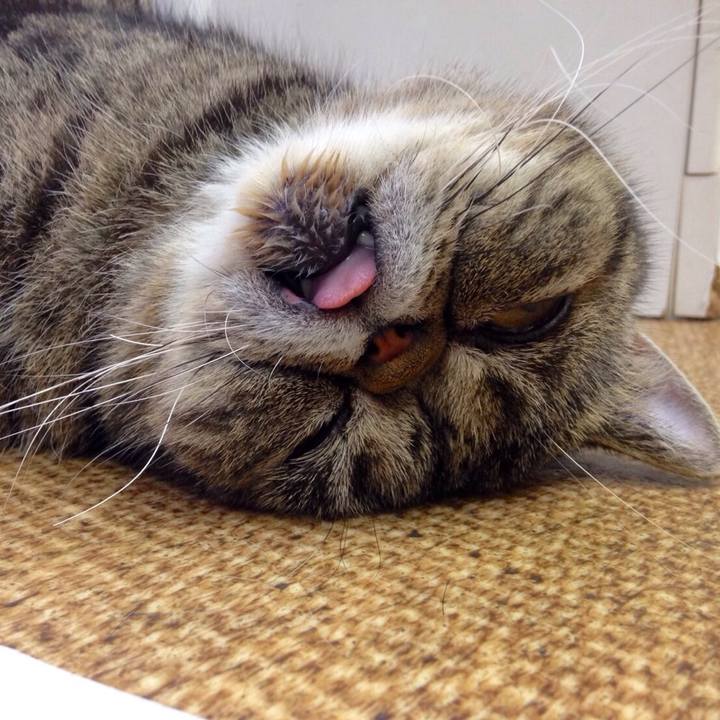 736fb707 66c6 435e 9987 351bd5f7619e