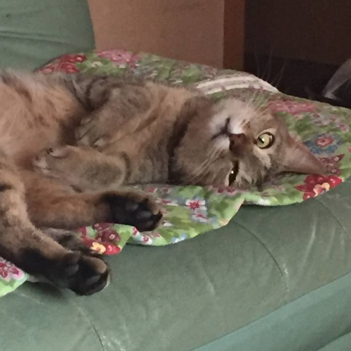 737061e0 85c1 4013 a1e4 b2106068e164