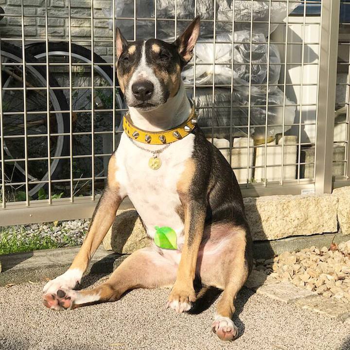 73709f54 6b31 4e85 a136 3f12a5fdc640