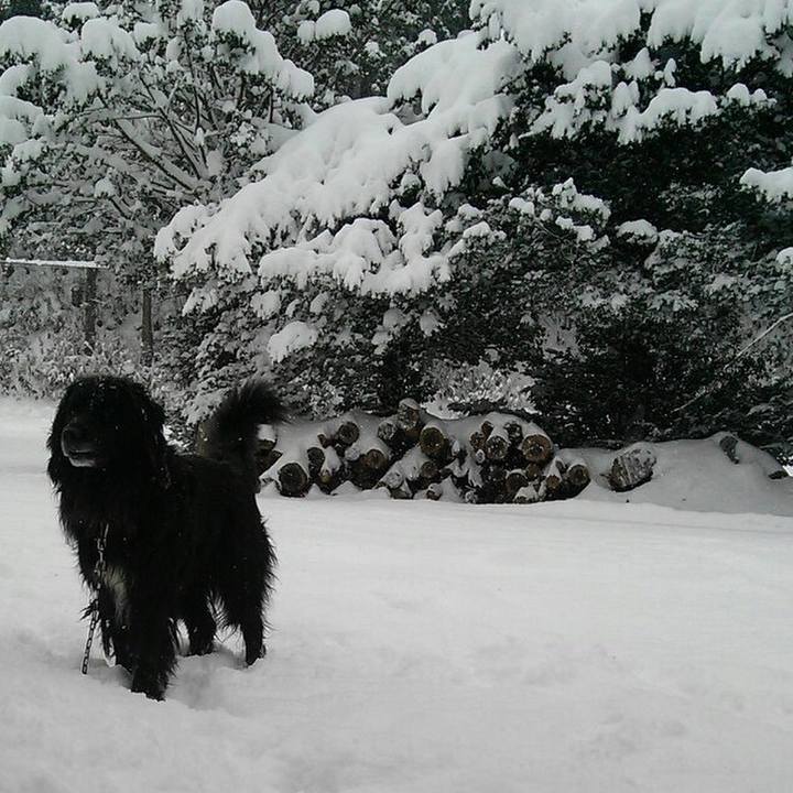 7370d18f 6951 4423 b4fe 5f81a2030a12