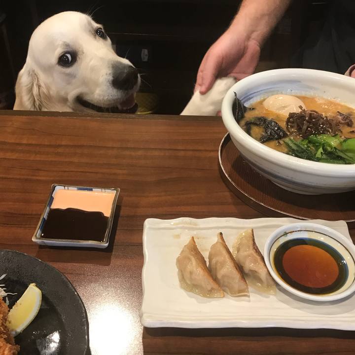 7370ebe5 29b5 468b 80a7 9f4cba349110