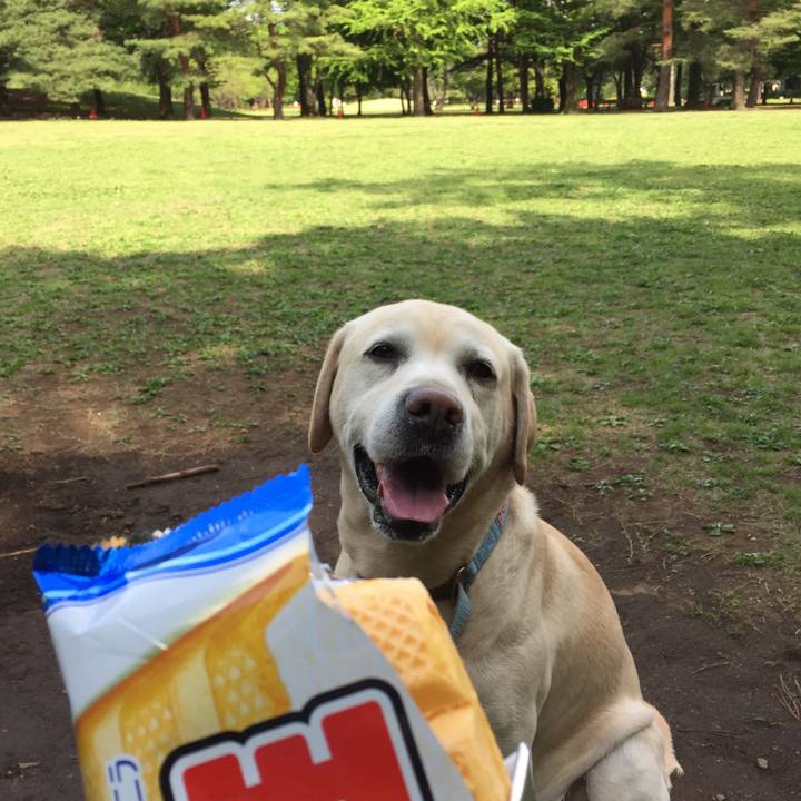 7371106f 997d 40f3 bd2e a7472c9b47cb