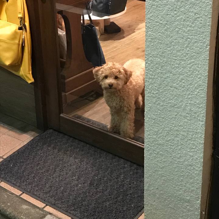 73711488 32e3 49e6 99f4 992753eb361f