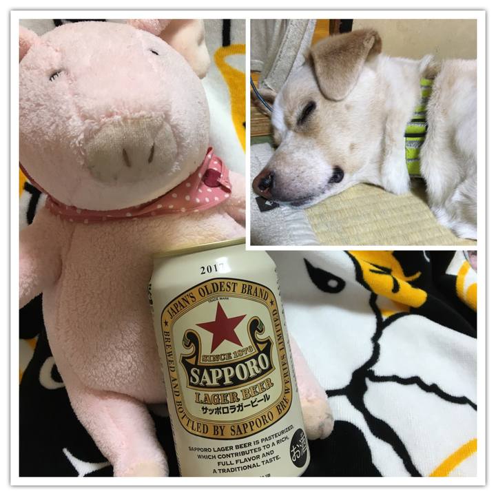 73714a25 6c42 4eae a855 9744115c7970